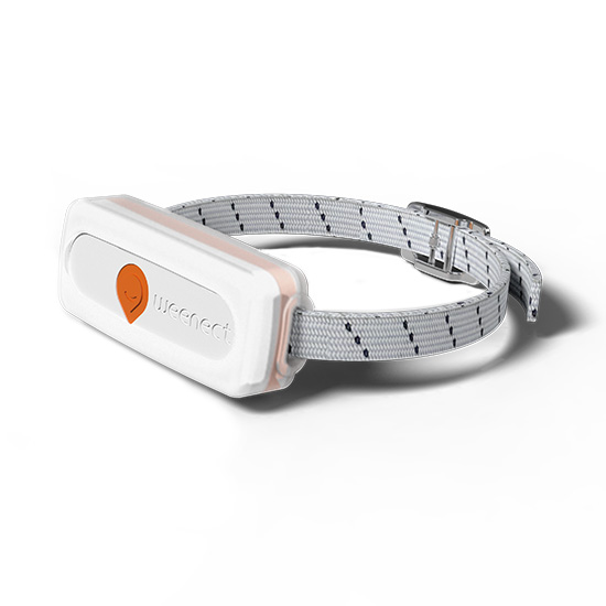 Collier localisation chat Weenect XS