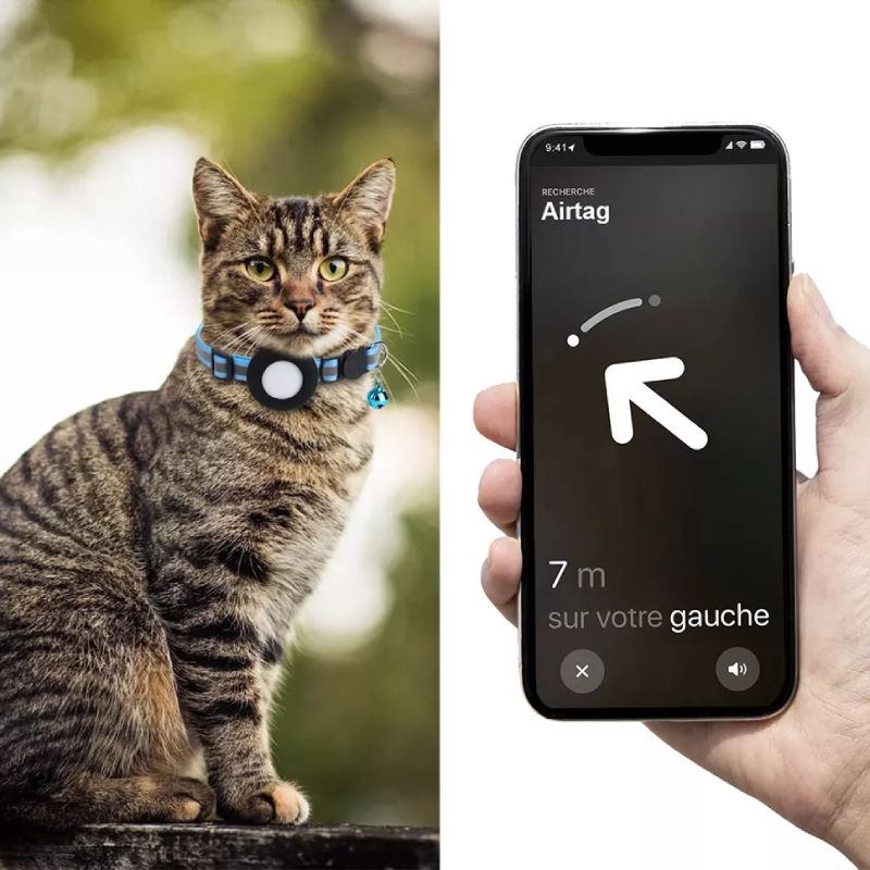 AirTag: best cat tracker without subscription