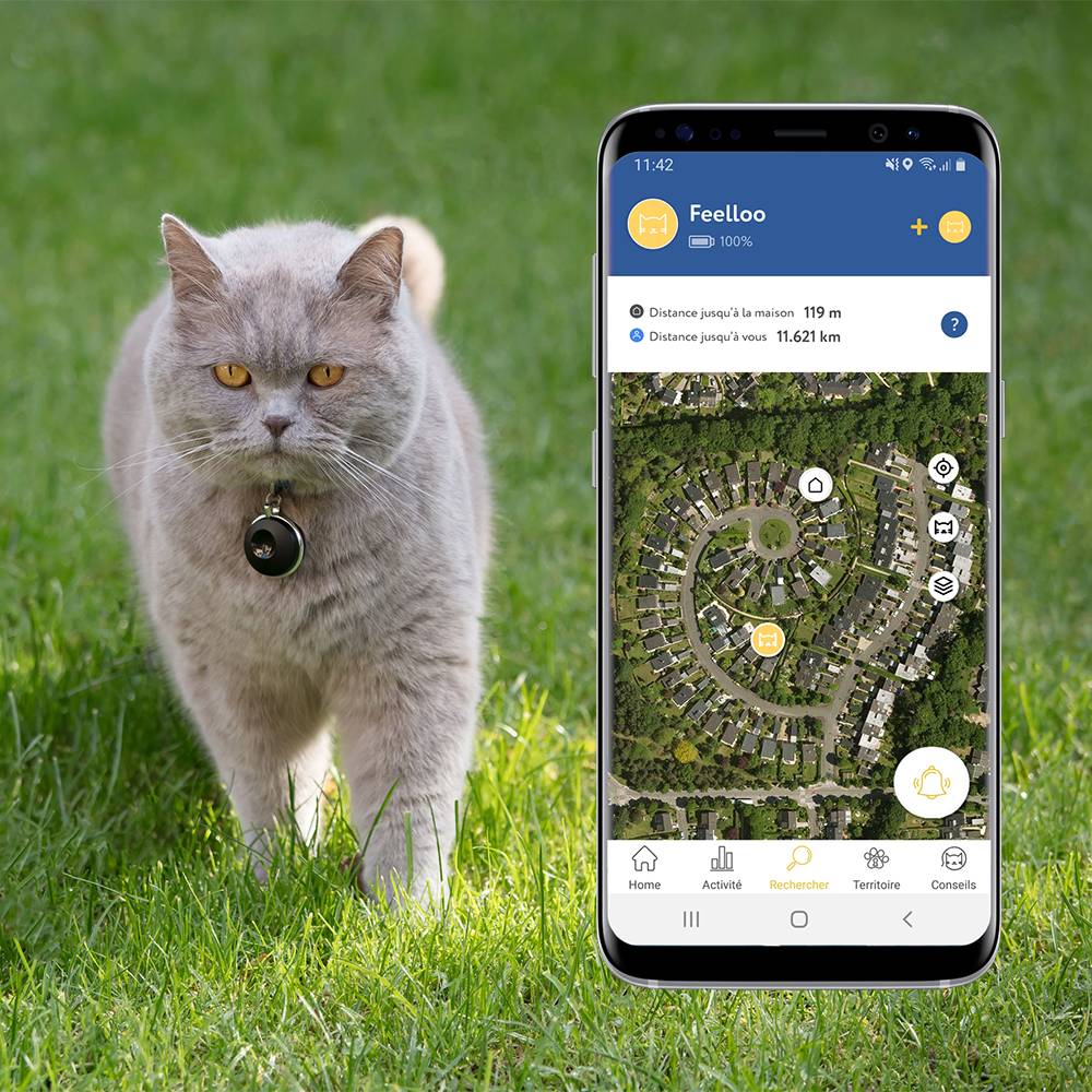 Best cat GPS tracker no subscription