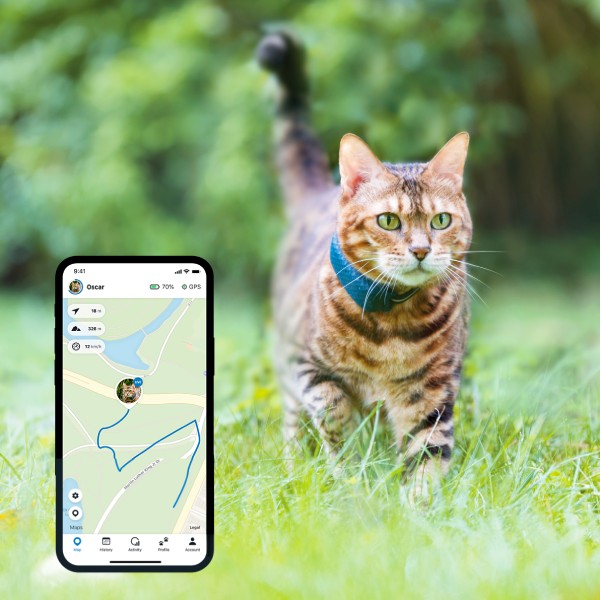 Best cat tracking device