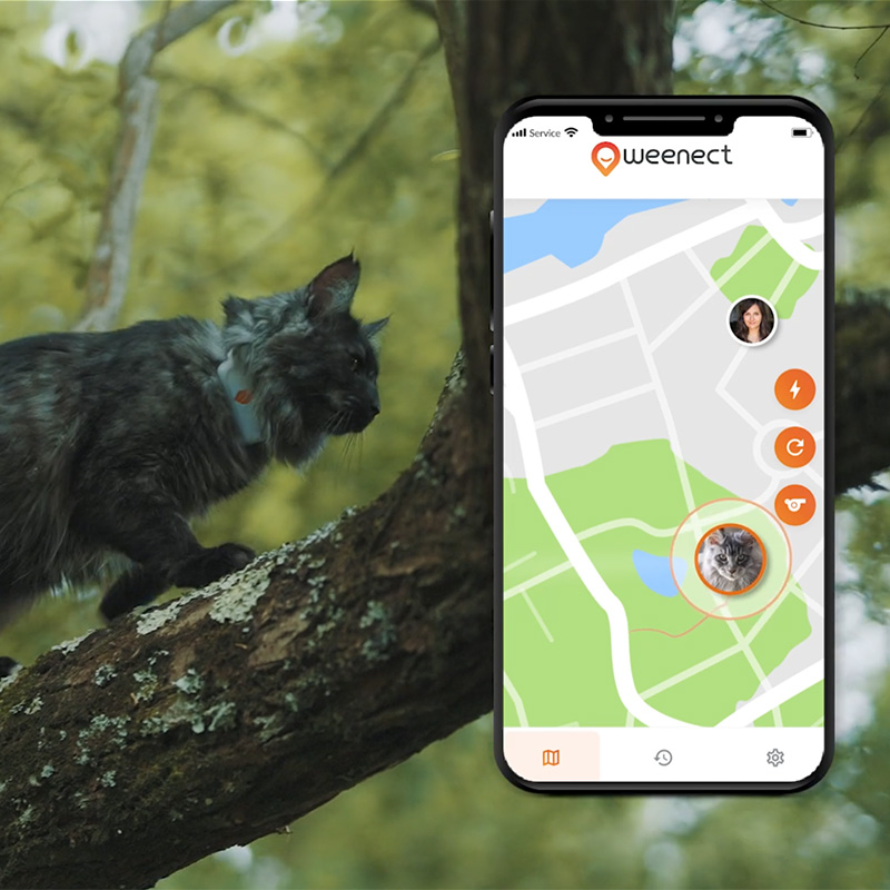 Best GPS cat tracker