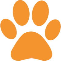 Cat identification system