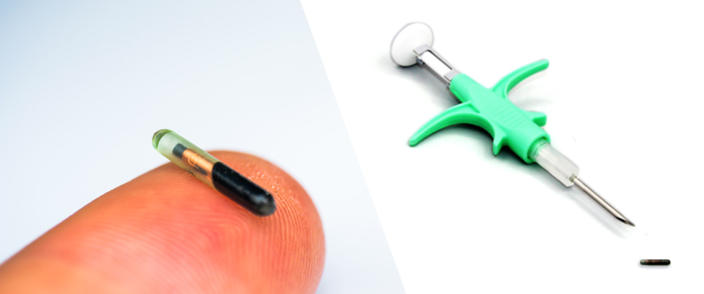 Do cat microchips have GPS