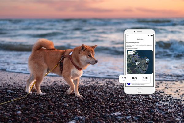 GPS chien sans abonnement