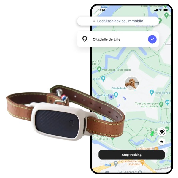 Meilleur collier GPS chien sans abonnement
