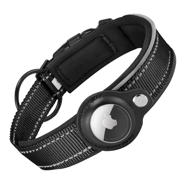 AirTag meilleur traceur chien