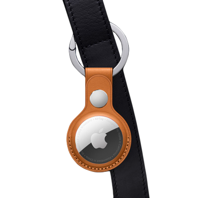 AirTag tracker pour chiens et chats