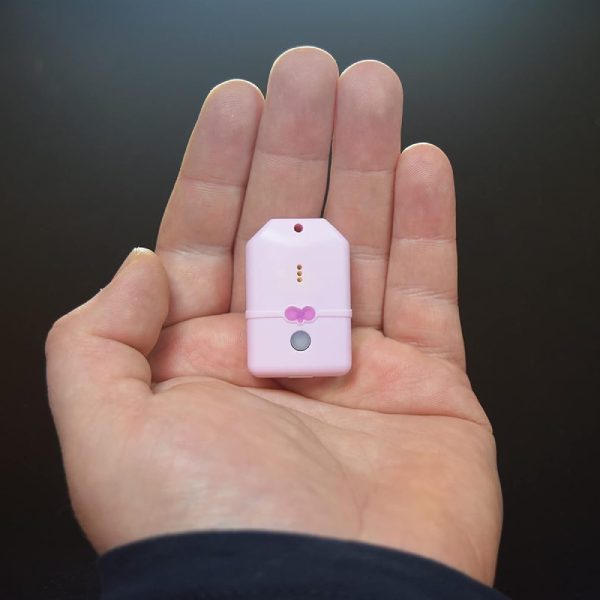 Système de géolocalisation Girafus